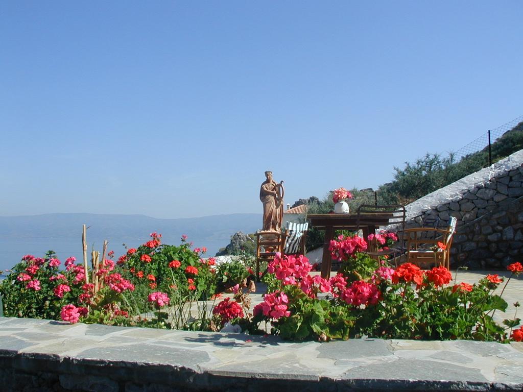 Villa Hydra Erato Habitación foto